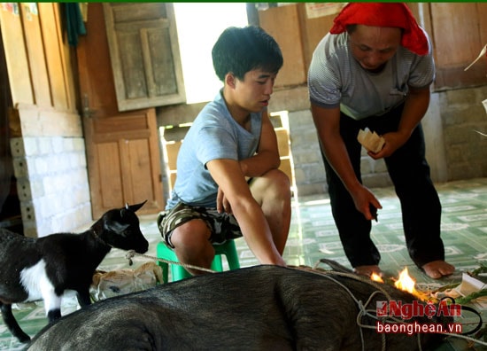 Ngay cả khi làm thịt động vật để cúng người họ Già cũng vứt tim vì cho rằng đó là nguyện nhân gây ra cái chết của con em họ.