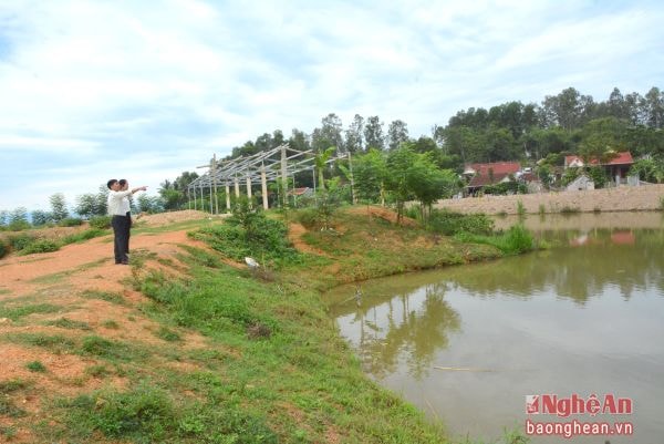 Hậu dồn điền đổi thửa xã Tràng Sơn(Đô Lương) mới chỉ có số ít diện tích vùng sâu trũng trồng lúa kém hiệu quả chuyển sang làm trang trại chăn nuôi kết hợp nuôi cá.