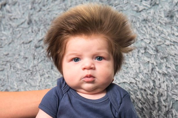 Bé trai đáng yêu Junior với biệt danh là Bé Gấu sở hữu bộ tóc