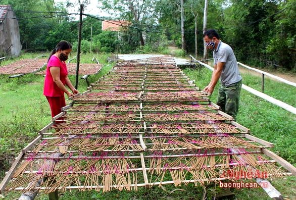 Những cây hương sau khi được phơi đủ nắng sẽ có màu sắc vàng rộm đẹp mắt. Làm hương trở thành một nghề cho thu nhập ổn định cho nhiều gia đình ở làng nghề này suốt 36 năm qua.