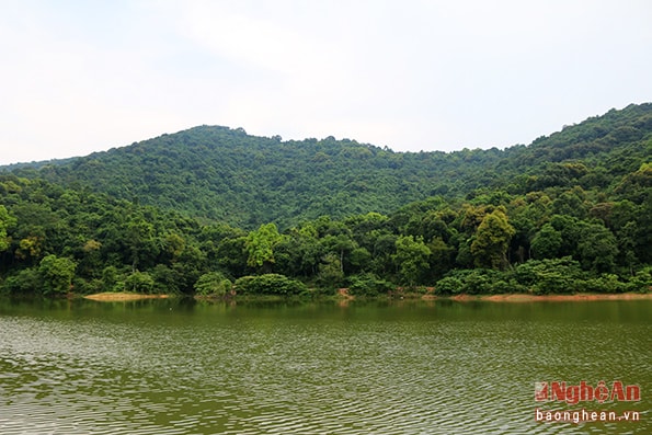 Với không gian thoáng mát, gần gũi với thiên nhiên, đến với Đồng Be sinh thái, du khách có cảm giác tâm hồn mình đang hòa cùng thiên nhiên.