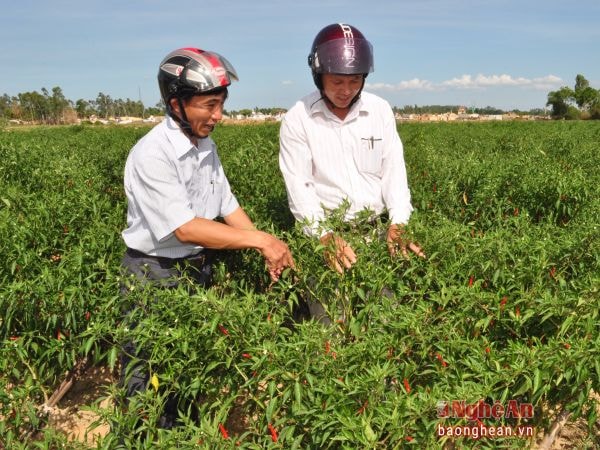 Cán bộ xã Hùng Tiến (Nam Đàn) bám cơ sở chỉ đạo mô hình phát triển kinh tế.