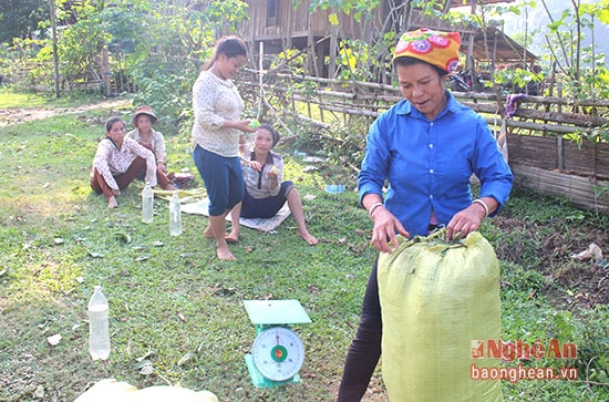 bà vi thị tuấn