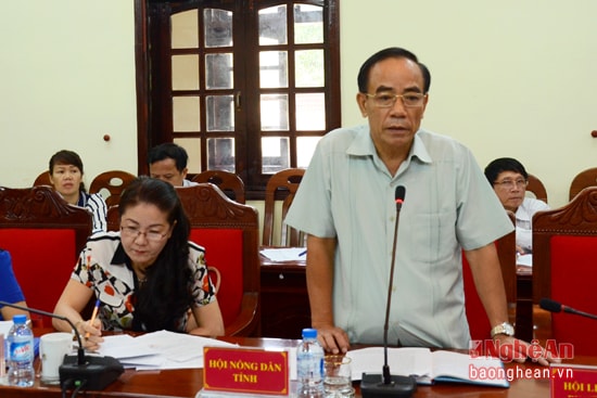 Đồng chí Nguyễn Đình Hường - Phó Chủ tịch Thường trực Hội Nông dân tỉnh phản ánh những nội dung người nông dân quan tâm kiến nghị.