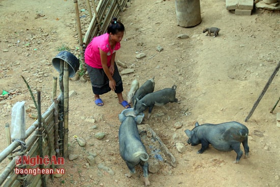 Phụ nữ miền Tây