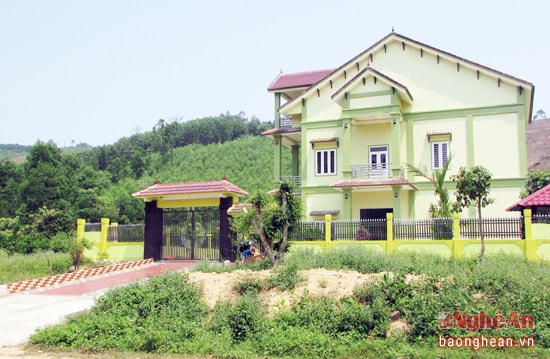 Tình trạng xây dựng nhà trái phép trên đất lâm nghiệp tại Yên Thành chậm được xử lý