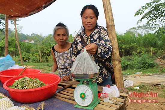 8.Là một loại hạt được rất nhiều người ưa chuộng  nhưng năm nay do đợt nắng nóng kéo dài  ít hạt nên khi đem ra chợ bán khá đắt hàng với giá 40 nghìn/kg. Đây cũng là nguồn kiếm thêm thu nhập cho người dân nơi này.