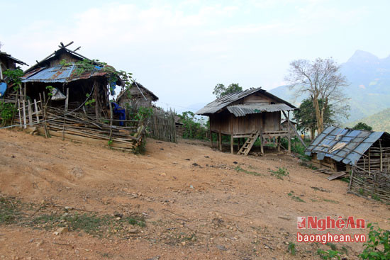 Khu vực ấy được dựng nhà cửa để ở và chăn nuôi sản xuất như 1 ngôi làng.