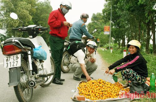 Dọc Quốc lộ 46 từ cầu Mượu đến thị trấn Nam Đàn không khó để bắt gặp những hình ảnh bà con bán loại quả này.