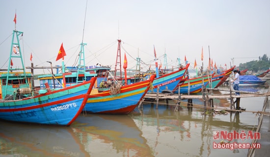 Cảng cá Lạch vạn tại xã Diễn Ngọc