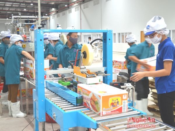 Đóng gói sản phẩm tại nhà máy Royal Foods. Ảnh: Lâm Tùng