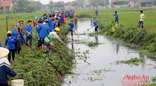 Phong trào làm thủy lợi được thực hiện rộng khắp trong các tầng lớp nhân dân. Ảnh Bích Hường