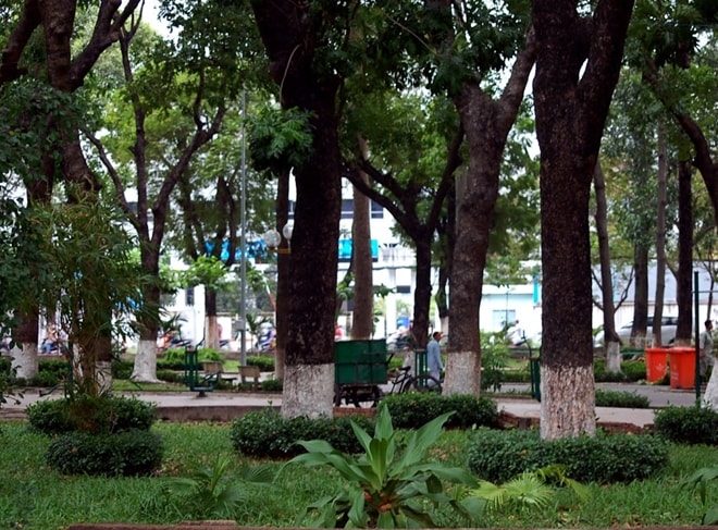 Công viên Hoàng Văn Thụ nơi xảy ra vụ án mạng (ảnh minh họa)