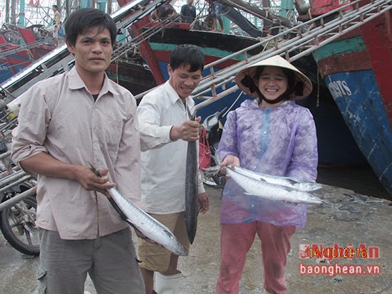 Niềm vui của ngư dân được  
