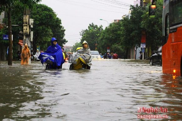 Mặc cho nước ngập đến giỏ xe, vẫn kiên nhẫn dò dẫm trong mưa.