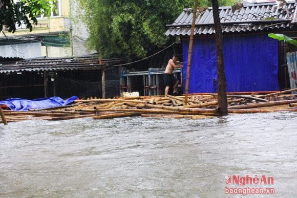 Nếu không nói ra, chắc ai cũng nghĩ đây là nhà bè chứ không phải là cơ sở cho thuê cốt pha xây dựng.