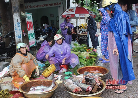 Nhiều người dân có tâm lý mua thực phẩm dự trữ nên hầu hết các mặt hàng tại chợ tạm dọc đường Lê Viết Thuật đều bán chạy hơn ngày thường