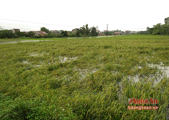 Tại những xã ven biển