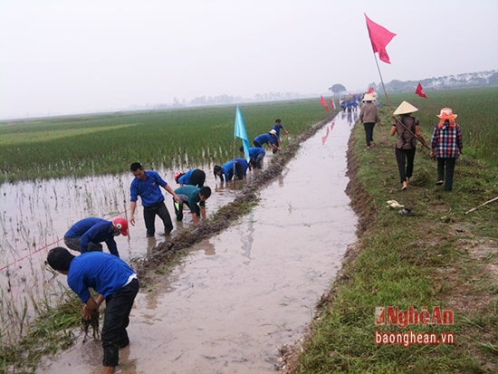 Đoàn viên, thanh niên, nhân dân Hưng Nguyên Hưng Nguyên ra quân làm thủy lợi