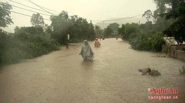 Một số tuyến đường ở Nghi Lộc bị ngập sâu.