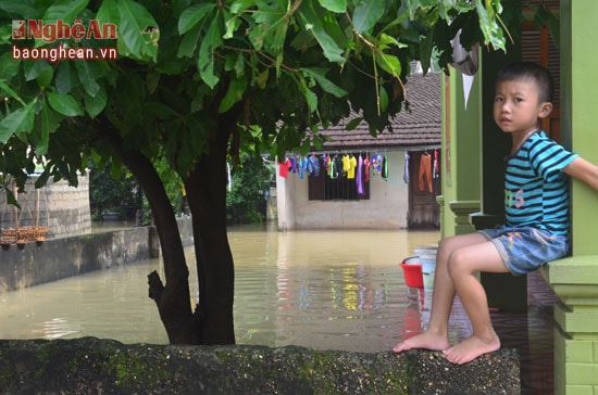Nhiều địa bàn ở huyện Yên Thành vẫn còn ngập sâu trog nước