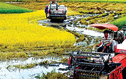 Nông dân vẫn rất đói vốn đầu tư sản xuất nông nghiệp. Ảnh minh họa