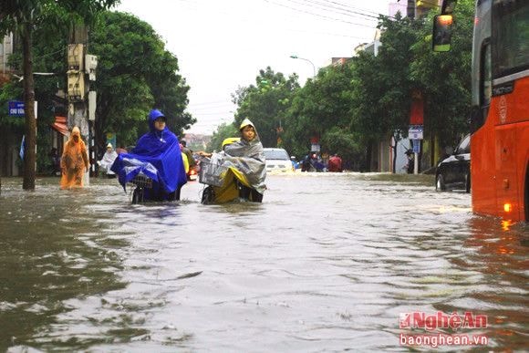 Mặc cho nước ngập đến giỏ xe (trong ngày thành Vinh ngập lũ 15/10), học sinh vẫn kiên nhẫn dò dẫm trong mưa đến trường.