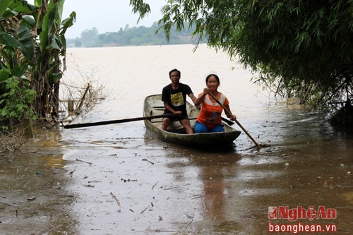 Vùng hạ huyện Thanh Chương năm nào cũng bị nước phong tỏa, nên nhiều hộ dân ở đây đã thế thủ bằng cách mua sắm những chiếc thuyền con để ứng phó. Những ngày này, nước đang dâng to, thuyền chống lụt của bà con đang phát huy tác dụng, để chở người đi lại giữa các “đảo”, chở lương thực  đồ vật…từ vùng lũ lụt lên vùng cao hơn .