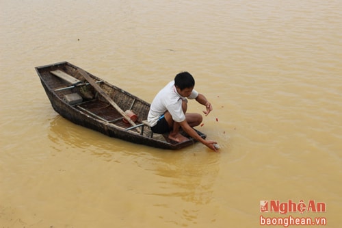 Một người dân tranh thủ kiếm thêm bữa ăn cho gia đình.