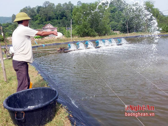 người nuôi tôm ở Nghi Yên xử lý ao nuôi vừa bị ngập nằng hỗn hợp vôi và 