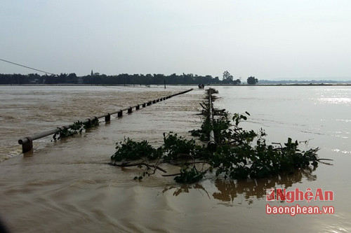 Nước vẫn ngập ở đường sang xóm 6,7,9 xã ven đê Hưng Lam, huyện Hưng Nguyên.