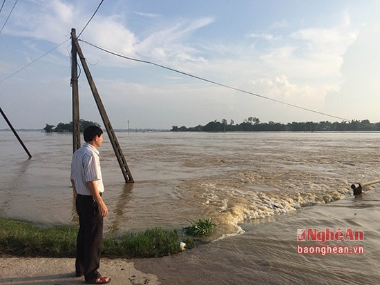 Ông Hoàng Đức Ân - Trưởng phòng nông nghiệp huyện cho biết nếu nước tiếp tục dâng cao, bão số 7 vào chắc chắn phải sơ tán dân