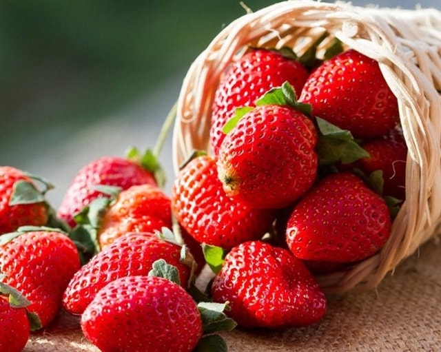 Nếu không thích ăn cam, bạn có thể nạp vitamin C bằng những quả dâu tây chín mọng hấp dẫn