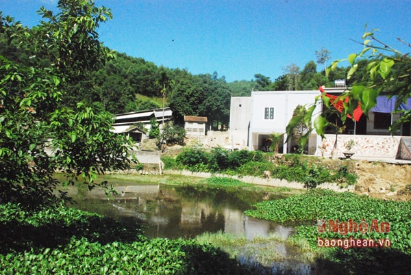 Trang trại ông Trần Công Sơn (xã Thanh Mỹ, Thanh Chương).