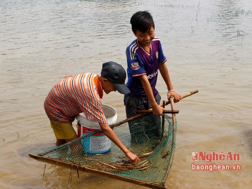 Đi nhủi cua chỉ cần cầm nhủi rồi đẩy trên ruộng, khi nào muốn hay mệt thì dừng lại bắt cua. Một người đẩy nhủi thường có một người đi cạnh để bắt cua.