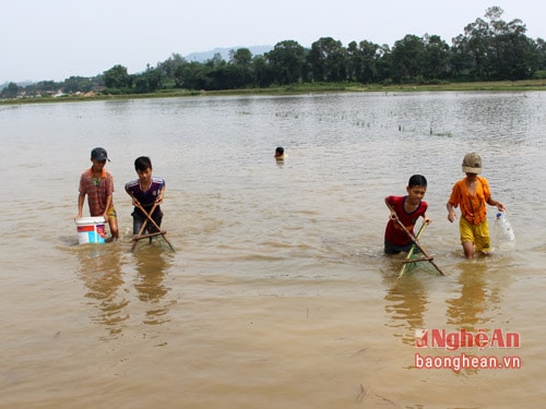 Trẻ em thường rủ nhau đi nhủi ở những nơi nước cạn, vừa làm vừa chơi vẫn kiếm được thức ăn. Người dân địa phương gọi công việc đi nhủi là “đi bừa không trâu”.