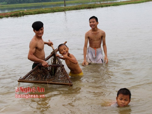 Đi nhủi không chỉ là công việc tìm cua mà còn được cùng bạn bè bơi lội, vui chơi thỏa thích trên ruộng làng. Nhủi cua đã trở thành kỷ niệm khó quên trong ký ức tuổi thơ của nhiều người sinh ra và lớn lên ở những vùng quê này.