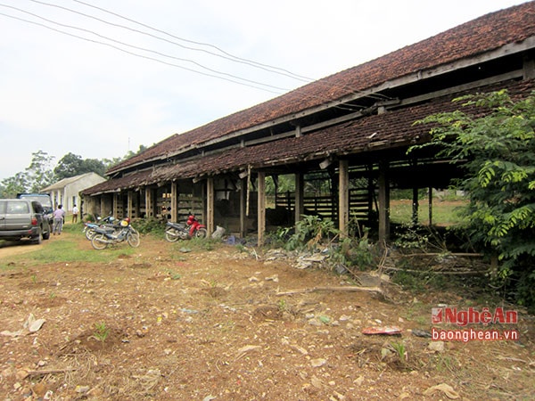 Một số diện tích đất, nhà xưởng của lâm trường trên địa bàn Quỳ Châu bỏ hoang.