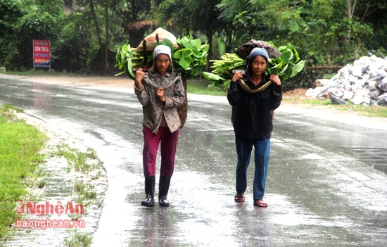 Những phụ nữ bản Quang Thịnh, xã Tam Quang (Tương Dương) 