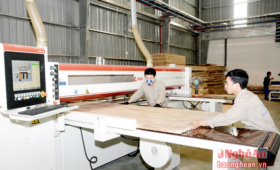Công nhân vận hành máy cắt định hình dây chuyền gỗ ván thanh tại Nhà máy chế biến gỗ Nghệ An