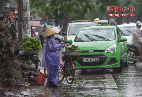 Mưa ướt đường trơn, bà Trần Thị Lựu (huyện Nghi Lộc) nhẫn nại chờ khách tới mua rau. Là phụ nữ, bà không có quyền lựa chọn công việc, thời gian đi làm, dù nắng hay mưa, đêm hay ngày. 