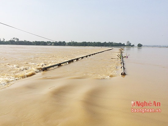 Nước ngập băng cầu dân sinh ở huyện Hưng Nguyên.