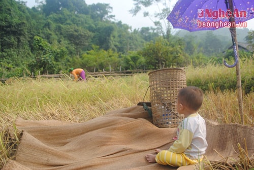 Với những người phụ nữ ở miền núi, nông thôn; Bao việc đồng áng nặng nhọc đều đổ đồn lên vai họ. Các mẹ, các chị bám ruộng đồng, nương rẫy để kiếm cái ăn, cái mặc cho con cái. Mồ hôi nước mắt và nỗi lo thêm nặng oằn đôi vai gầy.