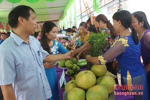 Sản phẩm bưởi, cam Nghĩa Hiếu đạt chất lượng cao