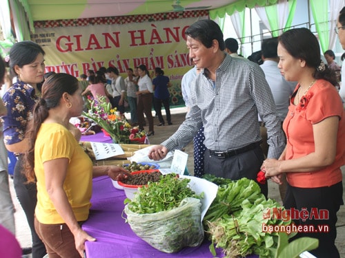 Các loại cây rau sạch đang được người tiêu dùng lựa chọn nhiều