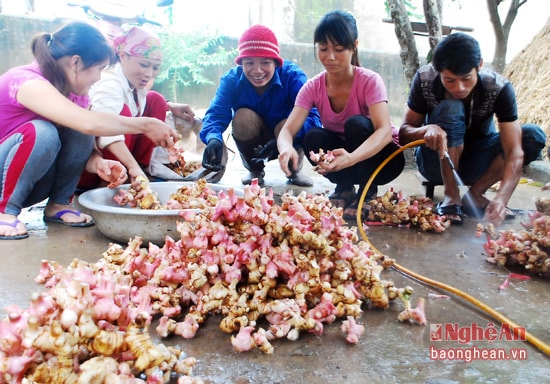 Chị Nguyễn Thị Hằng - Chi hội trưởng Hội phụ nữ xóm Tiền Phong (thứ 2 từ trái sang) chia sẻ: Ngoài việc nâng cao thu nhập kinh tế hộ gia đình, mô hình này còn vui và tăng thêm tình đoàn kết.  