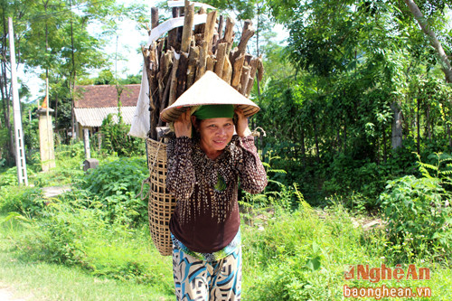 Ở miền tây xứ Nghệ, người phụ nữ từ bao đời nay vẫn luôn đảm đang những công việc khó nhọc như hái măng, lấy nước, lấy củi rừng xa.