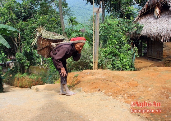 Xế trưa, bà cụ lủi thủi gùi lúa trên con đường dốc về căn lều nhỏ trong bản. Đây là nơi trú ngụ của bà Tiển khi người chồng mất và chị con gái rơi vào tình trạng lúc tỉnh lúc mê.