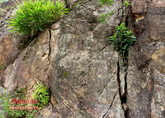 Trên những khối đá khổng lồ này từ lâu đã xuất hiện những vết nứt chằng chịt, có chiều rộng khoảng 5 – 7 cm.