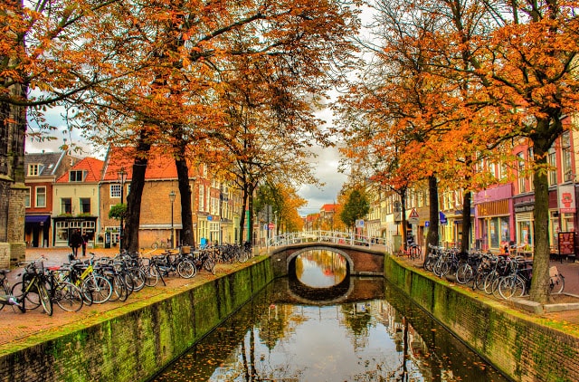 Amsterdam mỗi khi thu sang lại thay sắc, đổi màu. Đỏ, vàng, xanh, nâu,… những màu sắc của những chiếc lá thu rơi cứ thế hòa quyện lại với nhau tạo thành một bức tranh tuyệt đẹp của thiên nhiên.